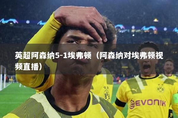 英超阿森纳5-1埃弗顿（阿森纳对埃弗顿视频直播）